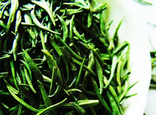 海南白沙绿茶价客(品尝价值不菲的海南特产绿茶)