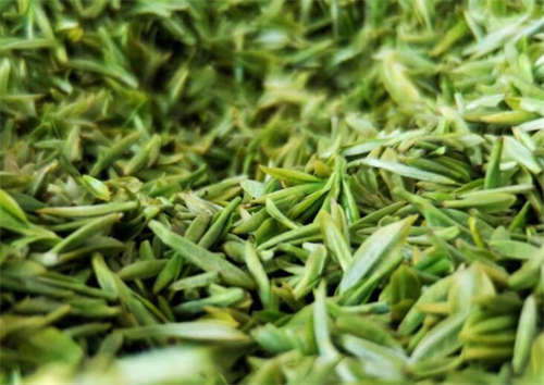 哪些绿茶比较好_常见绿茶种类